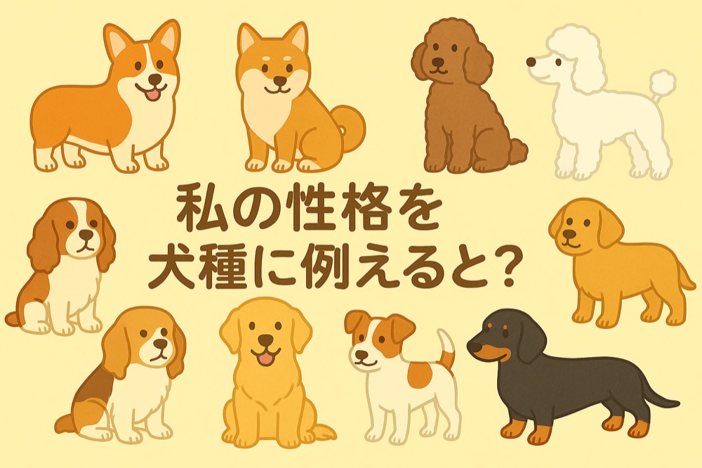 自分の性格を犬種に例えると何か診断のタイトル画像
